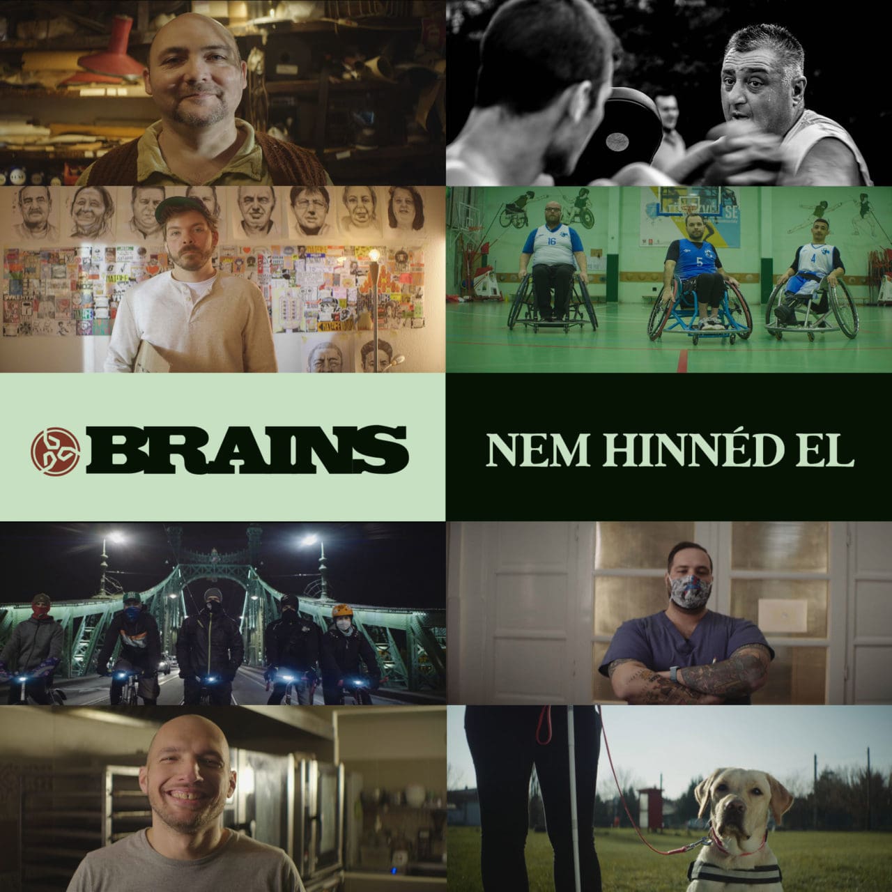Brains élet megbecsüléséről - PartyAnimals