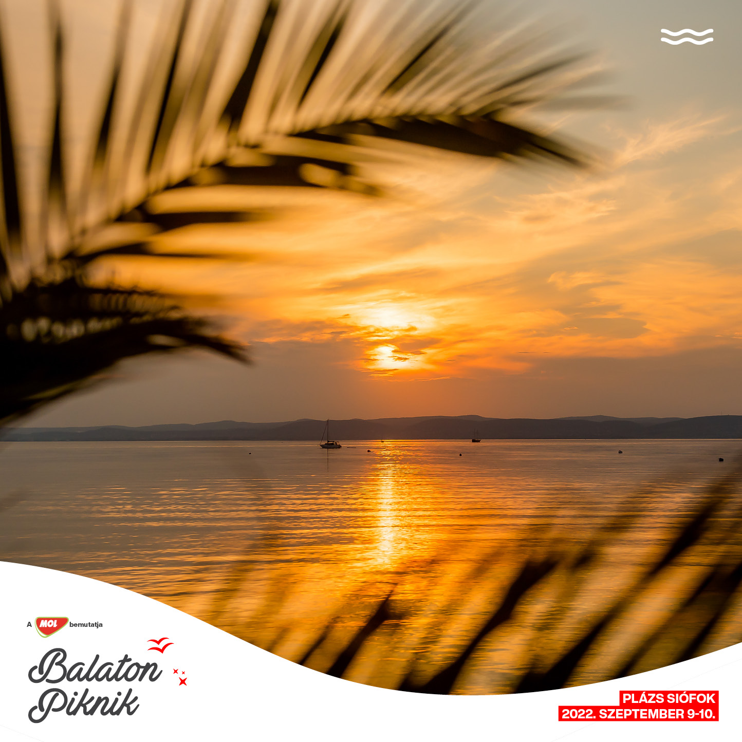 A MOL bemutatja : BALATON PIKNIK