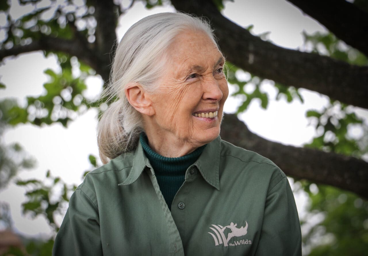 Dr. Jane Goodall - PartyAnimals