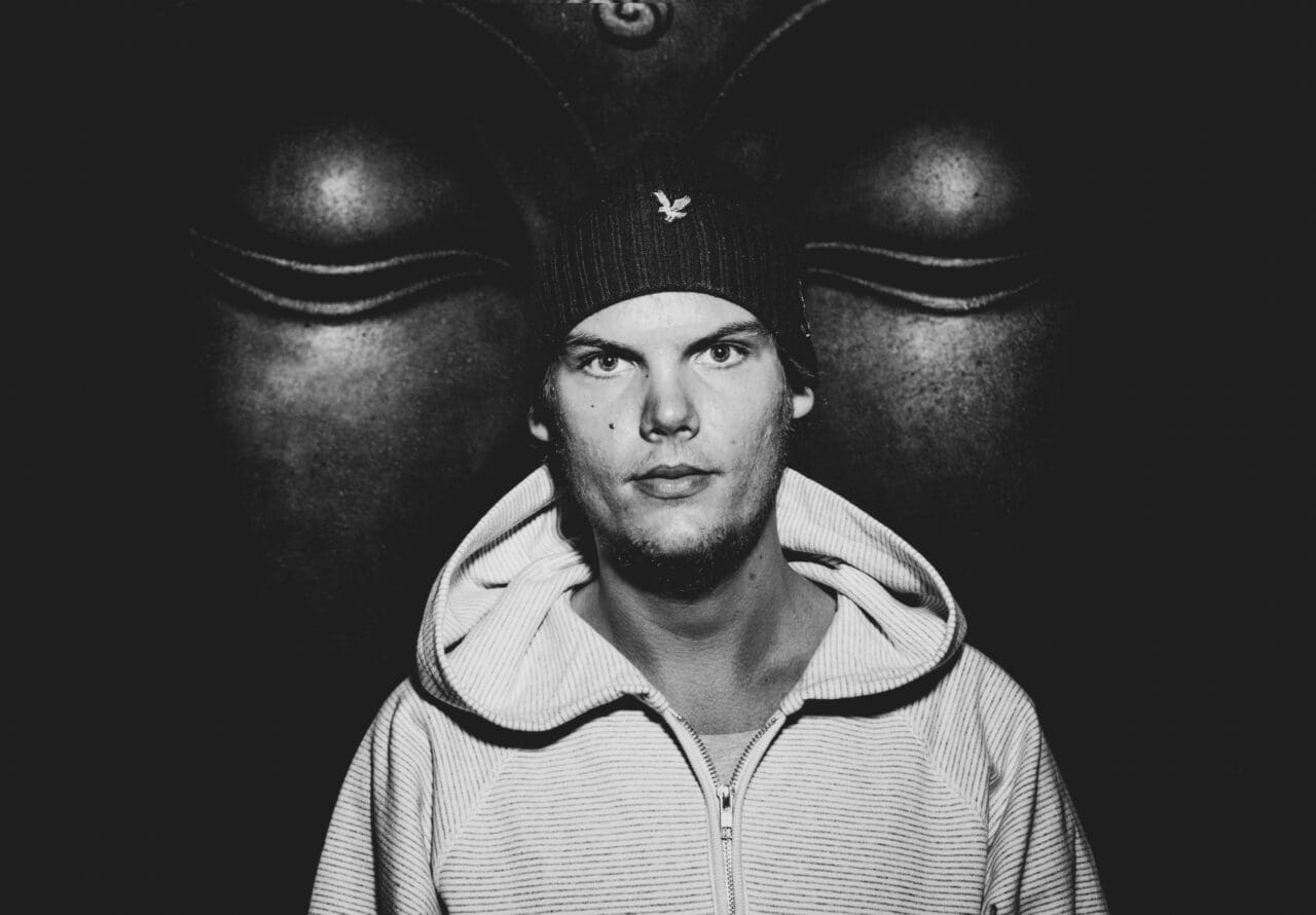 Avicii - PartyAnimals