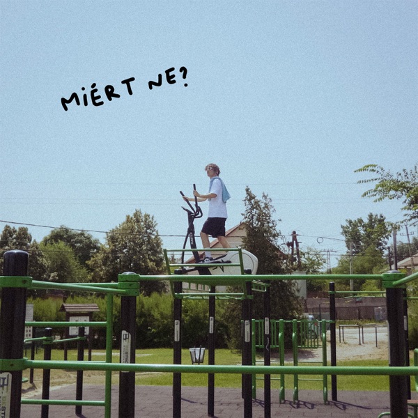 🎶 Már itthon is elérhető a Meta zenetára