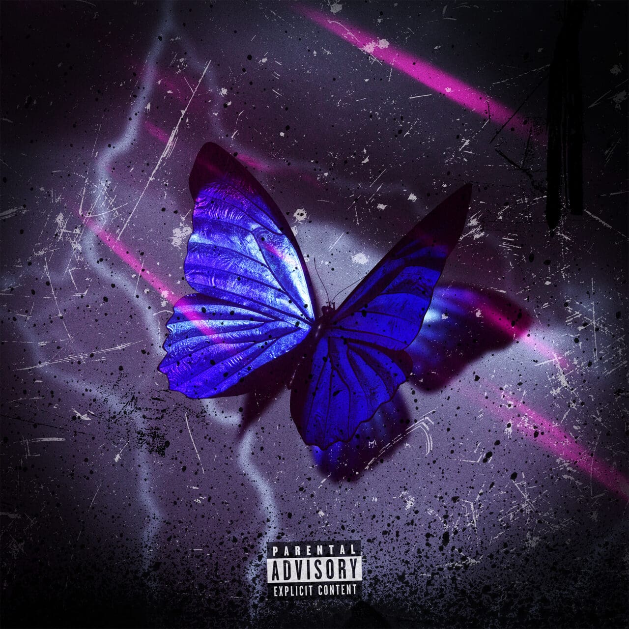 Mihályfi Luca - PartyAnimals