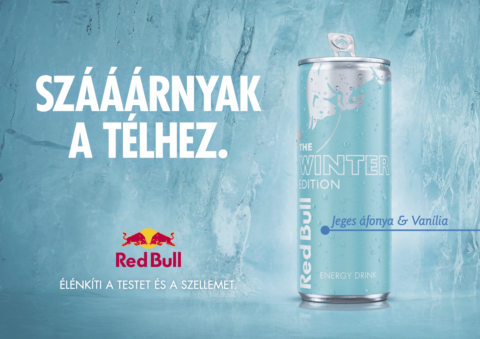 A jeges áfonya és a vanília találkozása – Már elérhető az új Red Bull Winter Edition