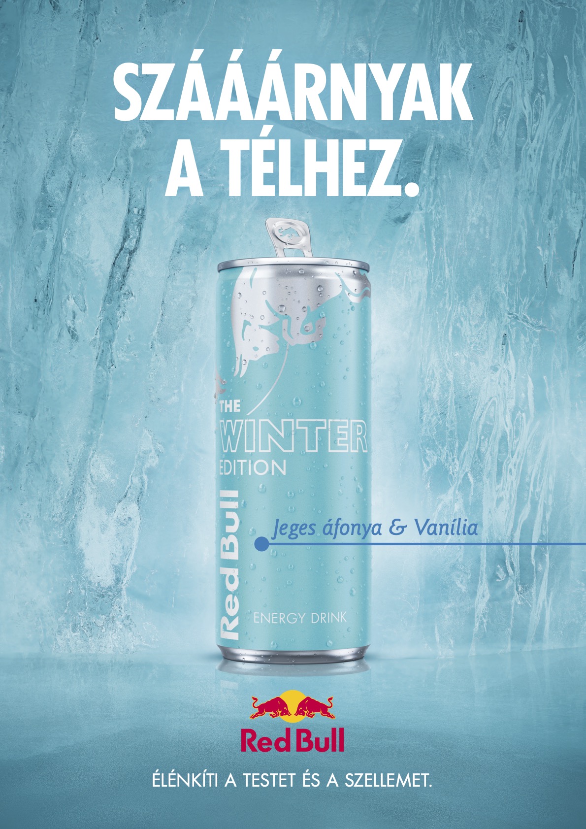 A jeges áfonya és a vanília találkozása – Már elérhető az új Red Bull Winter Edition