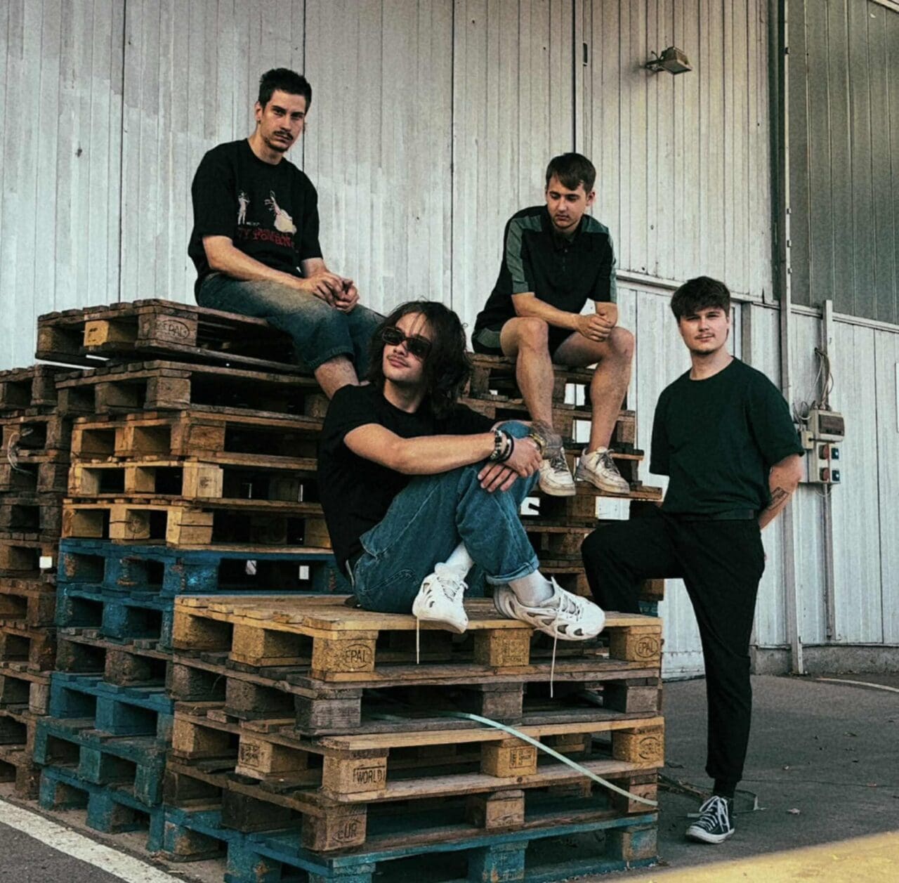imago mundi - PartyAnimals