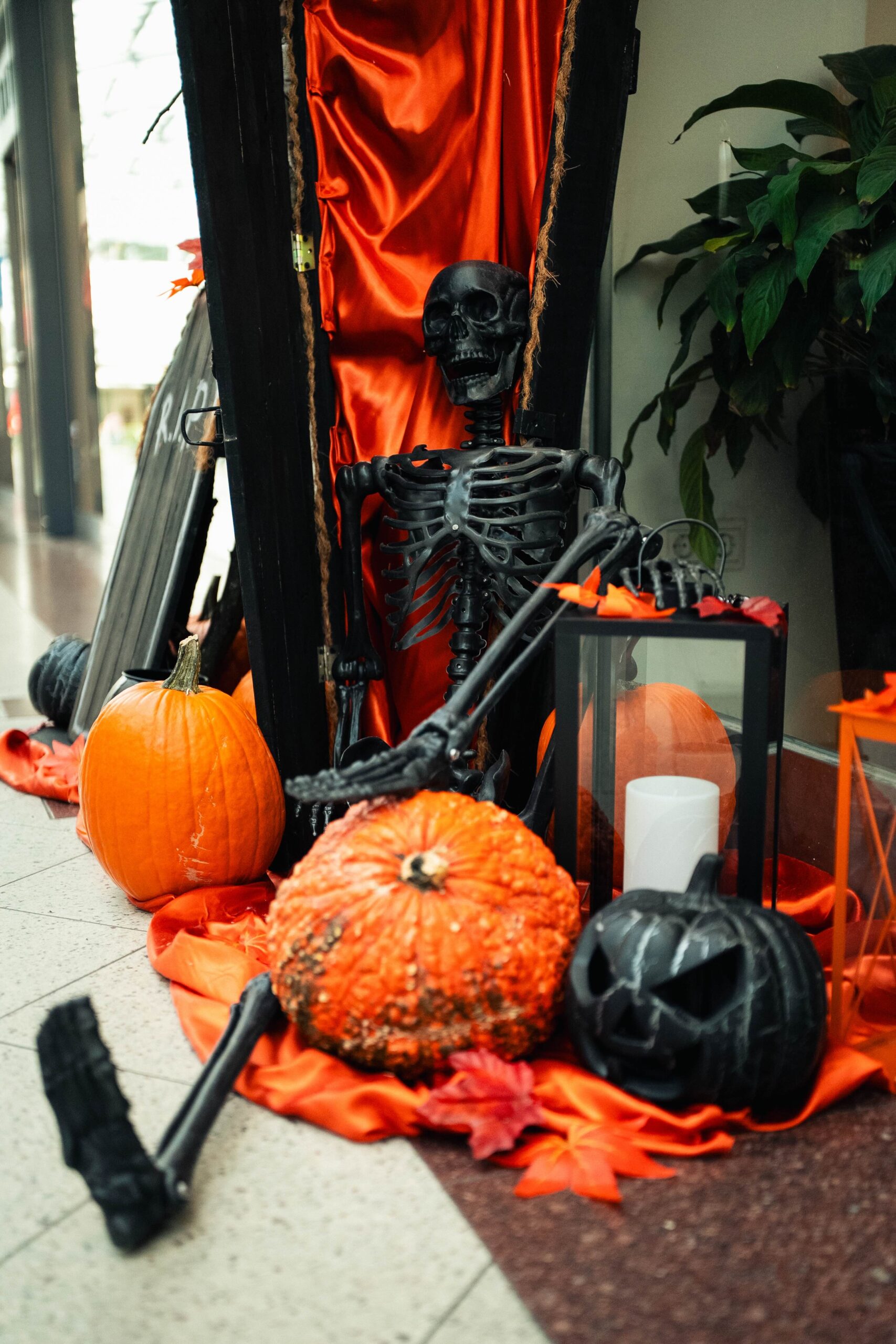 Halloween 2025 – Élmények, amelyek mozgásban tartanak